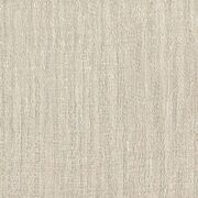 Thumb_isho_yp21002_1
