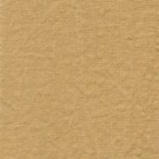 Thumb_lonan_yp18007_1
