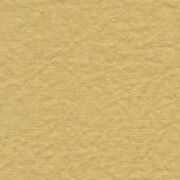 Thumb_lonan_yp18006_1