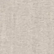 Thumb_lonan_yp18004_1