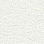 Thumb_lonan_yp18002_1