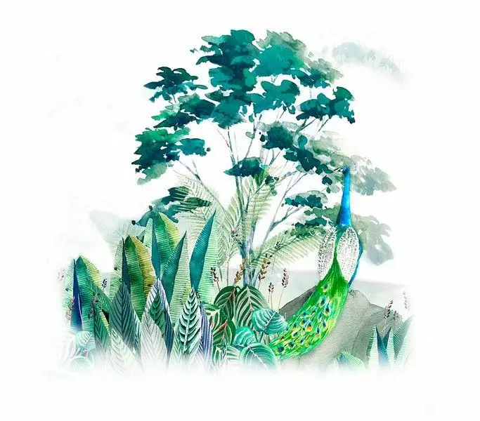 Big_30165_1