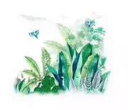 Thumb_30166_1