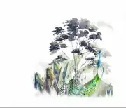 Thumb_30167_1