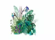 Thumb_30161_1