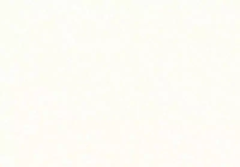 Big_30110_1