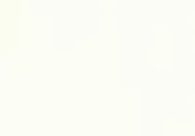 Thumb_30110_1
