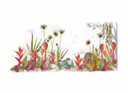 Thumb_30164_1