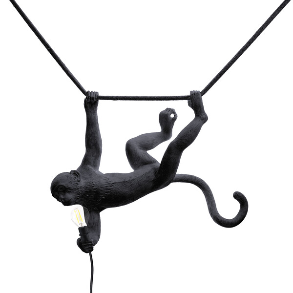 Big_podvesnoy_svetilnik_the_monkey_lamp_swing_black_1