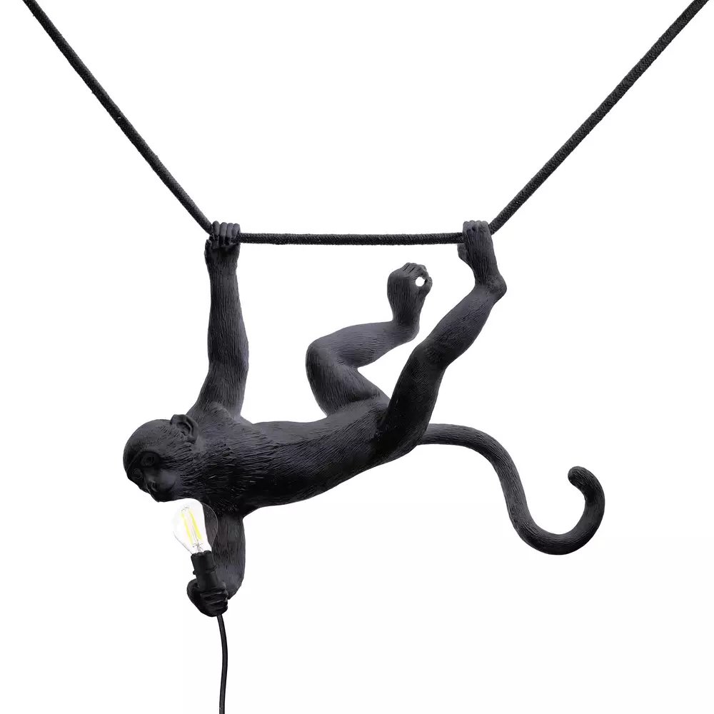 Big_podvesnoy_svetilnik_the_monkey_lamp_swing_black_1