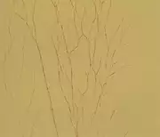 Thumb_63427_1