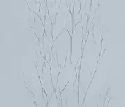 Thumb_63425_1