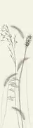 Thumb_63487_1