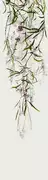 Thumb_63490_1