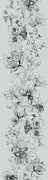 Thumb_63491_1
