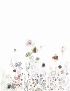 Thumb_63449_1