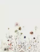 Thumb_63450_1