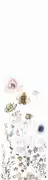 Thumb_63494_1