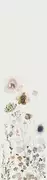 Thumb_63495_1