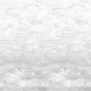 Thumb_pdg1136_01_1