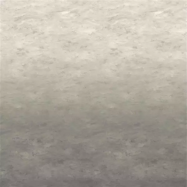 Big_pdg1136_02_1