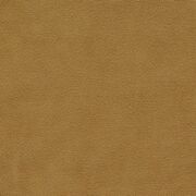 Thumb_f1511_14_1