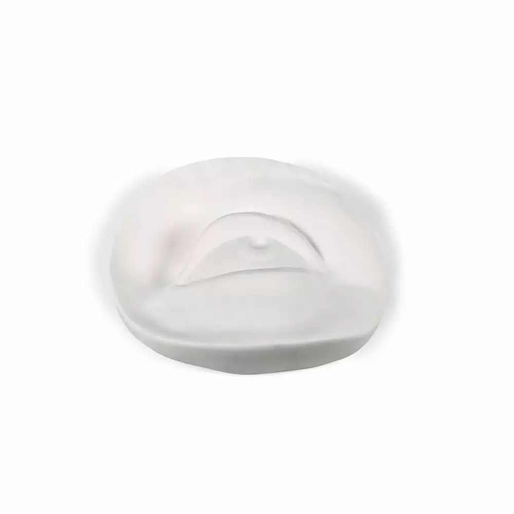 Big_statuetka_memorabilia_mvsevm_eye_1