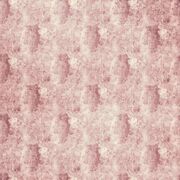Thumb_f1526_01_1