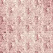 Thumb_f1526_01_1