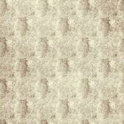 Thumb_f1526_03_1