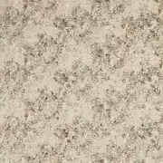 Thumb_f1525_04_1