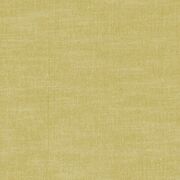 Thumb_f1239_10_1