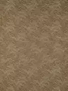 Thumb_312498_1