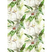 Thumb_322722_1
