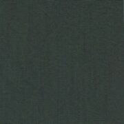 Thumb_tano_yp18027_1