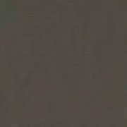 Thumb_tano_yp18021_1