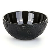 Thumb_salatnik_lunar_large_1