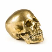 Thumb_statuetka_wunderkrammer_human_skull_1