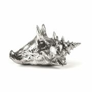Thumb_statuetka_wundekammer_shell_1