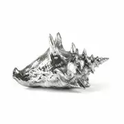 Thumb_statuetka_wundekammer_shell_1