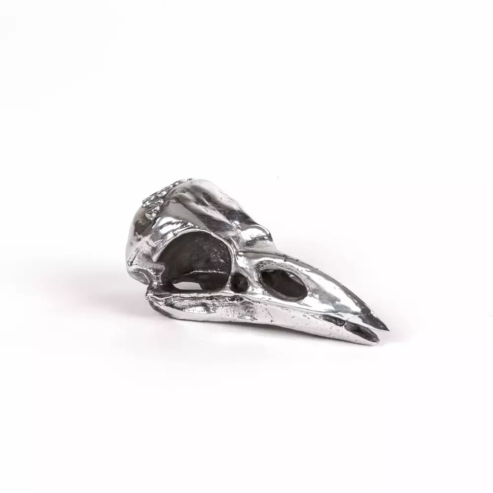 Big_statuetka_wunderkammer_bird_skull_1