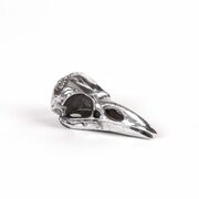 Thumb_statuetka_wunderkammer_bird_skull_1
