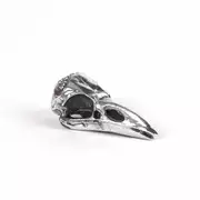 Thumb_statuetka_wunderkammer_bird_skull_1