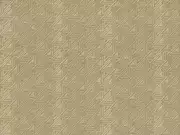 Thumb_2736_21_1