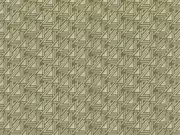 Thumb_2736_50_1