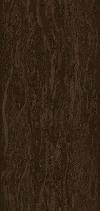 Big_tm202_1