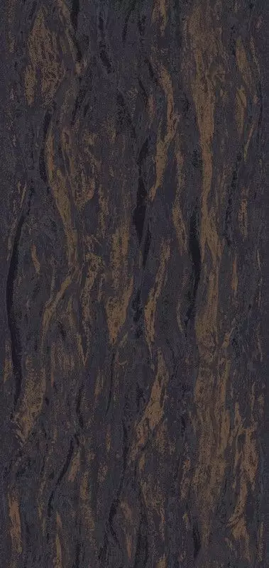 Big_tm212_1