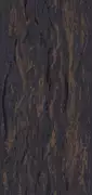 Thumb_tm212_1
