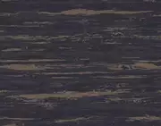 Thumb_tm412_1