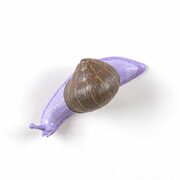 Thumb_veshalka_snail_awake_purple_1